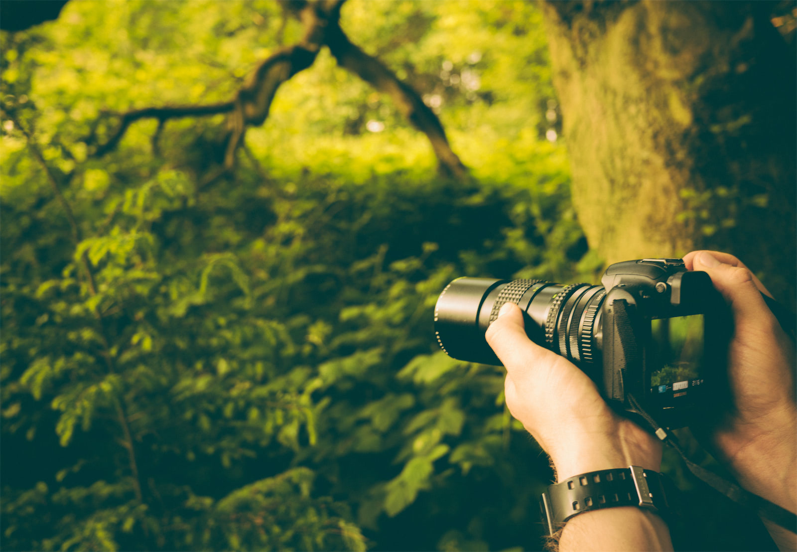 Fotógrafo ambiente